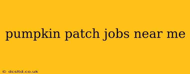 pumpkin patch jobs near me