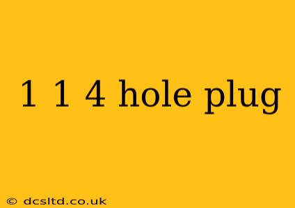 1 1 4 hole plug