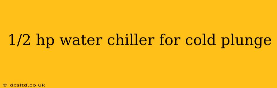 1/2 hp water chiller for cold plunge