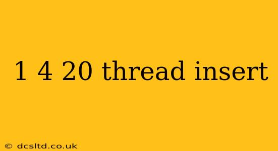 1 4 20 thread insert