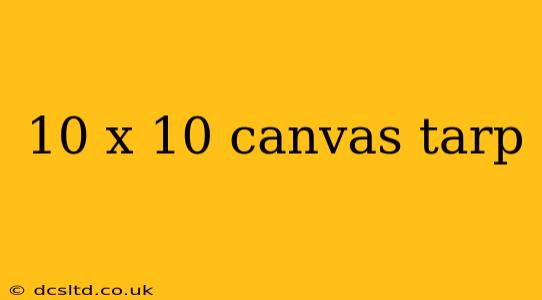 10 x 10 canvas tarp