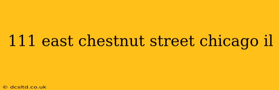 111 east chestnut street chicago il