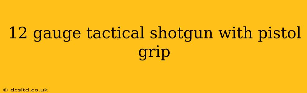 12 gauge tactical shotgun with pistol grip
