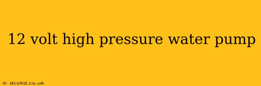 12 volt high pressure water pump