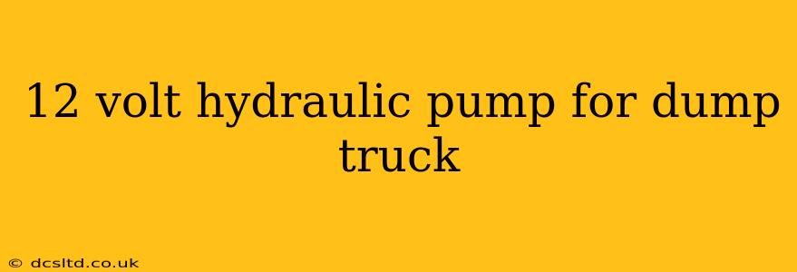 12 volt hydraulic pump for dump truck