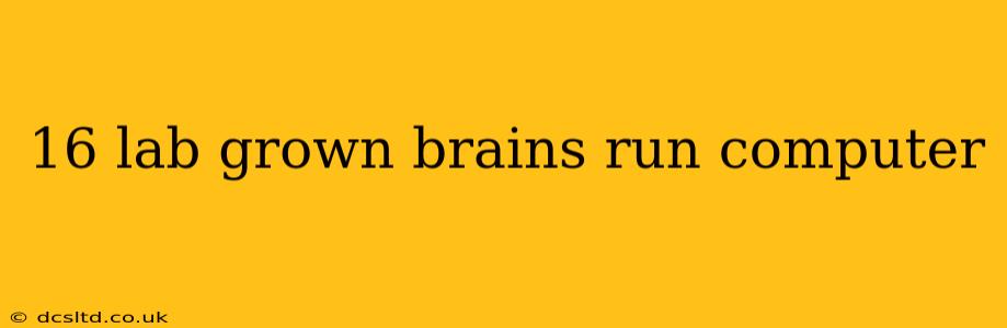 16 lab grown brains run computer