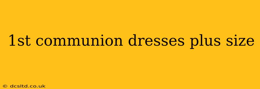 1st communion dresses plus size