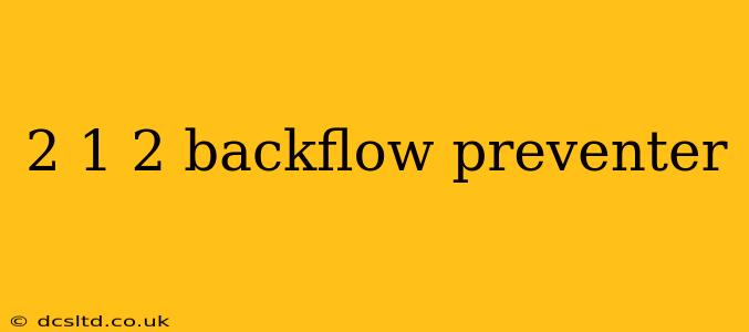 2 1 2 backflow preventer