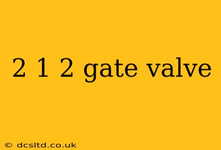 2 1 2 gate valve