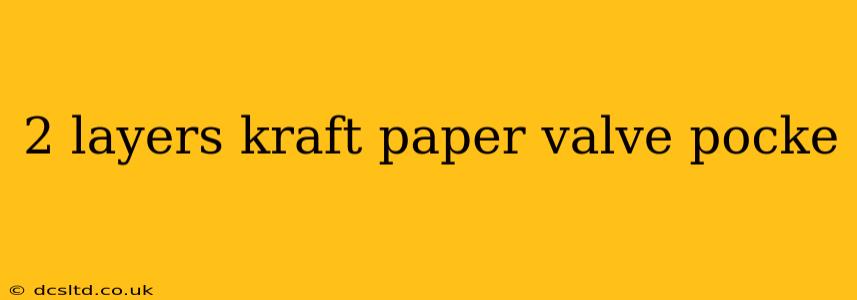 2 layers kraft paper valve pocke