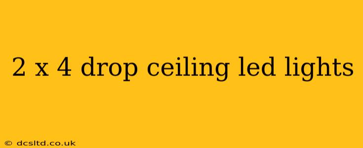 2 x 4 drop ceiling led lights