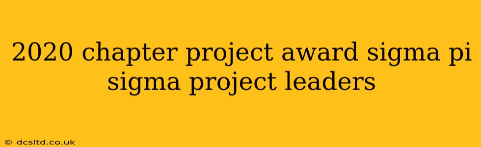 2020 chapter project award sigma pi sigma project leaders