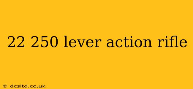 22 250 lever action rifle