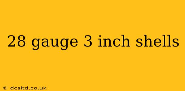 28 gauge 3 inch shells