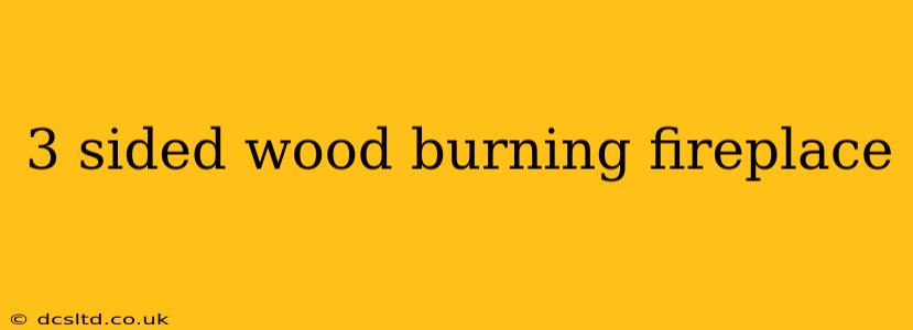 3 sided wood burning fireplace