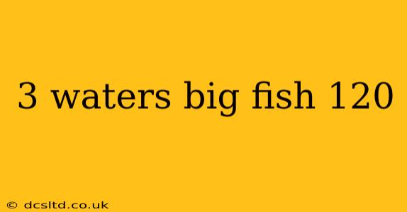 3 waters big fish 120