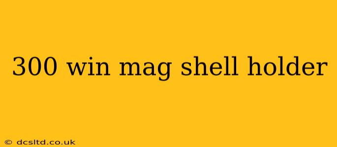 300 win mag shell holder