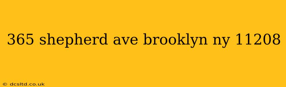 365 shepherd ave brooklyn ny 11208