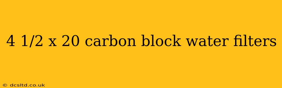 4 1/2 x 20 carbon block water filters
