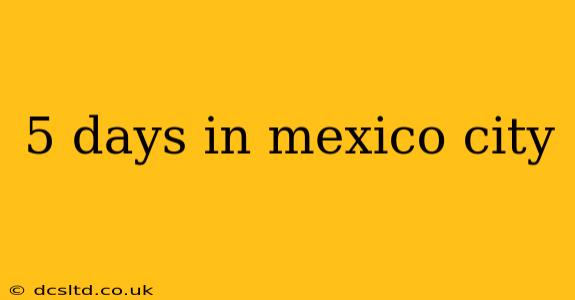 5 days in mexico city