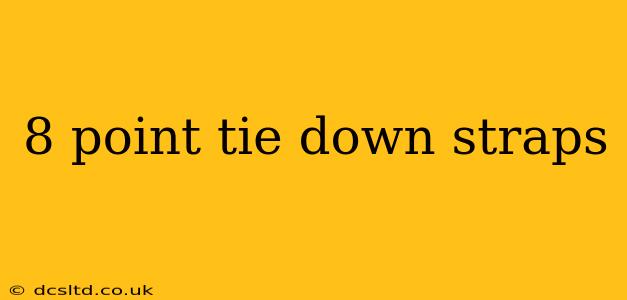 8 point tie down straps