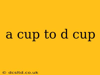 a cup to d cup