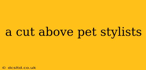 a cut above pet stylists