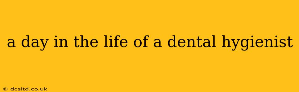 a day in the life of a dental hygienist
