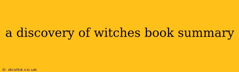 a discovery of witches book summary
