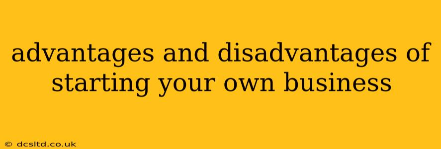 advantages and disadvantages of starting your own business