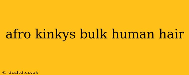 afro kinkys bulk human hair