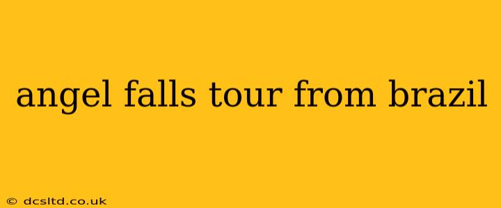 angel falls tour from brazil