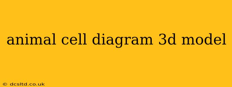 animal cell diagram 3d model