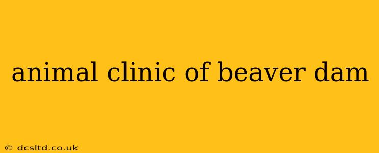animal clinic of beaver dam