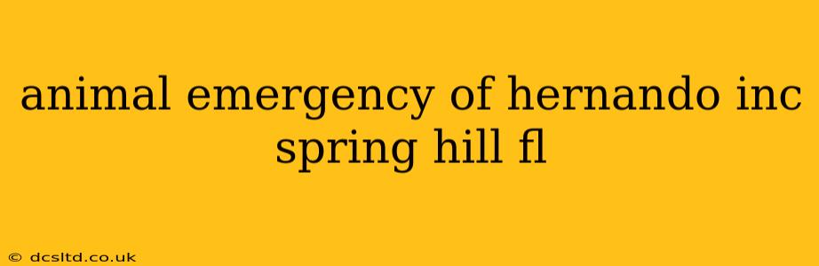 animal emergency of hernando inc spring hill fl