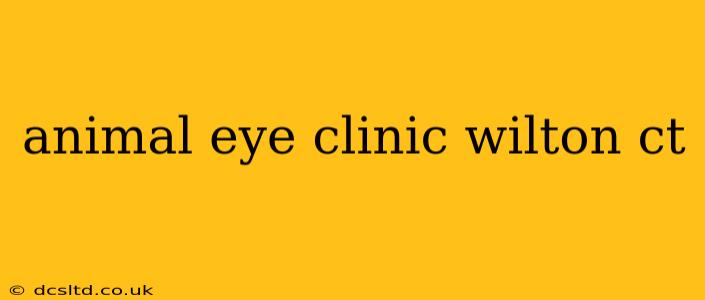 animal eye clinic wilton ct