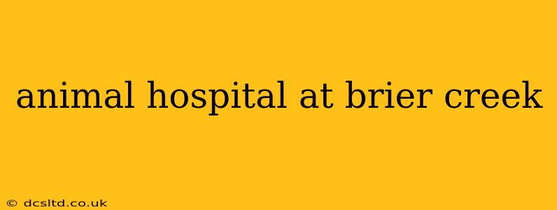 animal hospital at brier creek