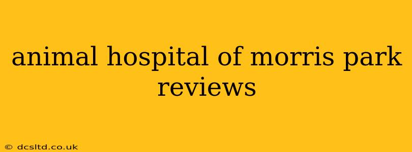 animal hospital of morris park reviews