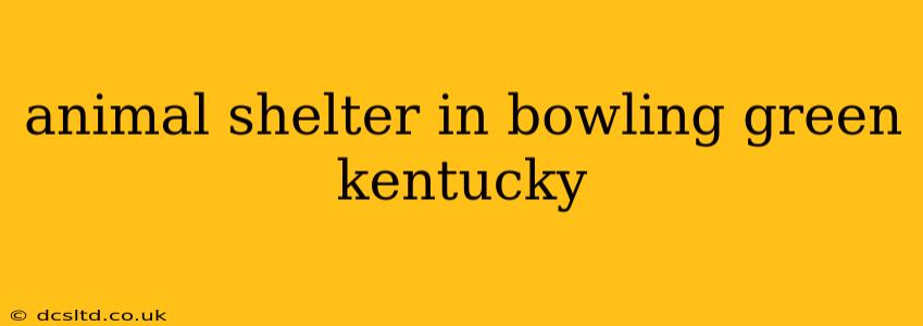 animal shelter in bowling green kentucky