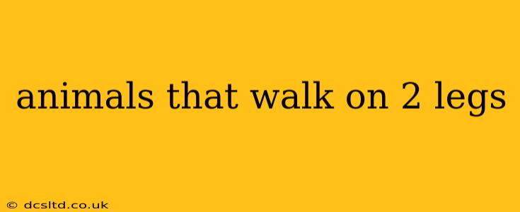 animals that walk on 2 legs