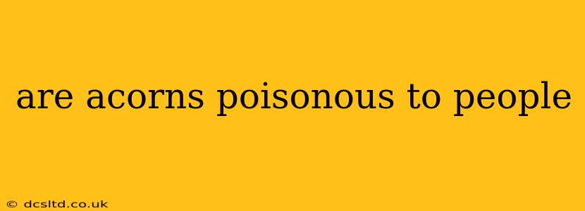 are acorns poisonous to people