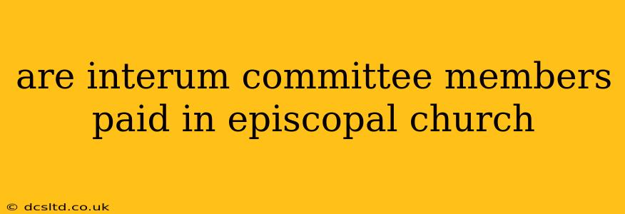 are interum committee members paid in episcopal church