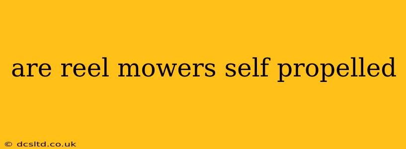 are reel mowers self propelled