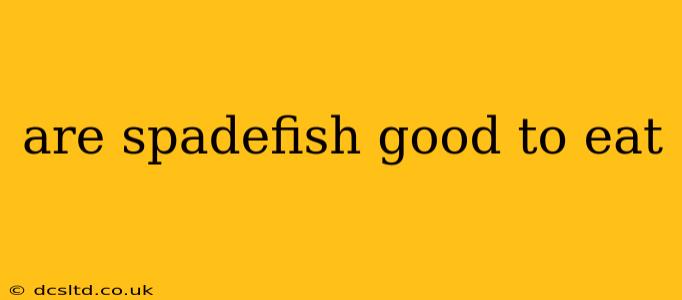 are spadefish good to eat