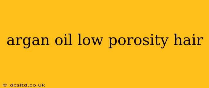 argan oil low porosity hair