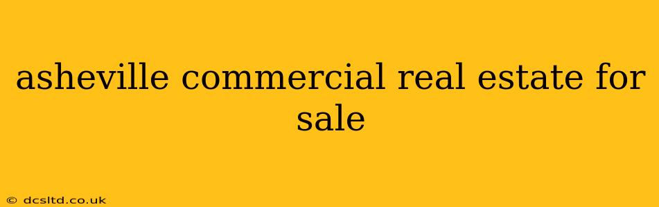 asheville commercial real estate for sale