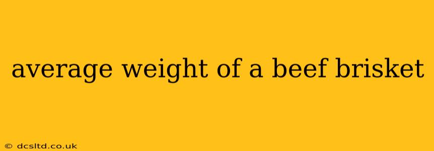 average weight of a beef brisket