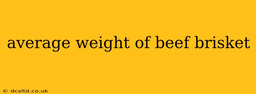 average weight of beef brisket