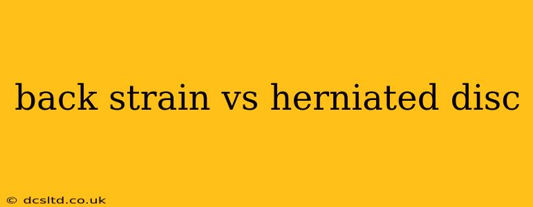 back strain vs herniated disc