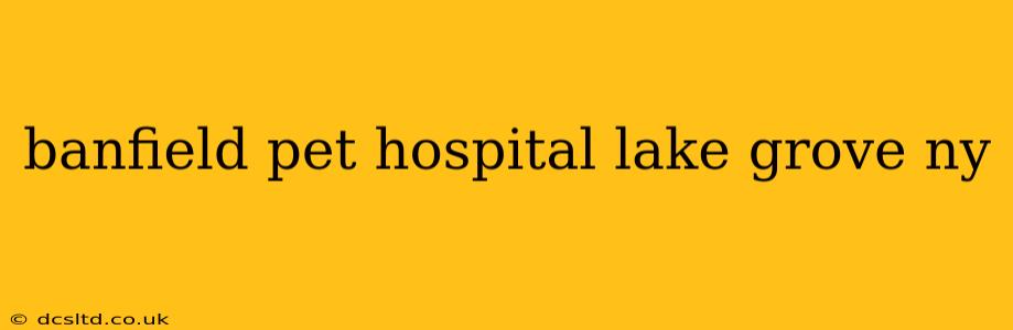banfield pet hospital lake grove ny